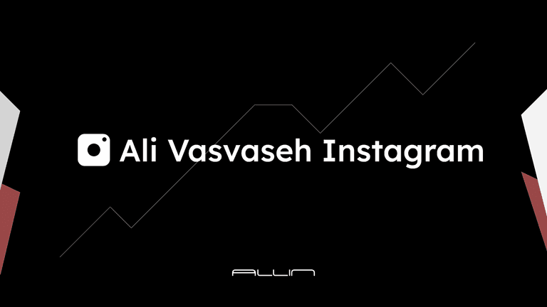 Instagram Growth Strategy, Content Marketing & Campaign Management for Ali Vasvaseh Clothing Brand