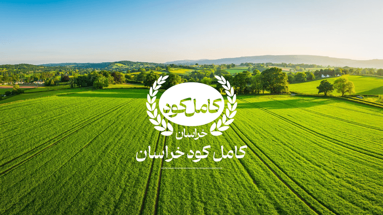 Complete redesign of the Kamel Kod brand through visual identity overhaul, product label design, stationery and communication materials, and website development to create a more cohesive, professional, and distinctive presence in the agricultural inputs market.
